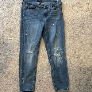 Judy Blue Classic Denim Jeans